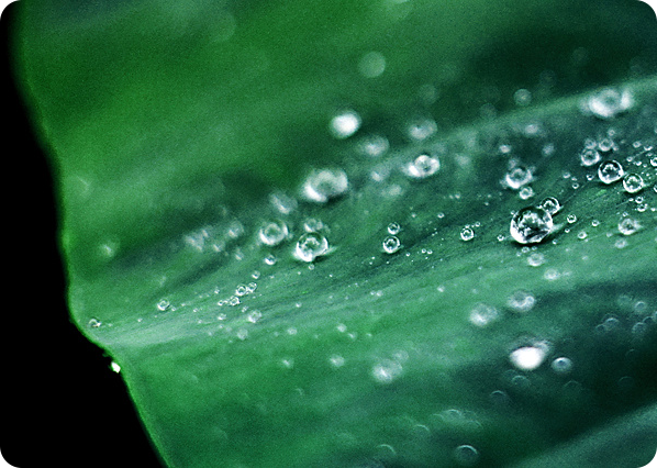 可降解技術(shù)